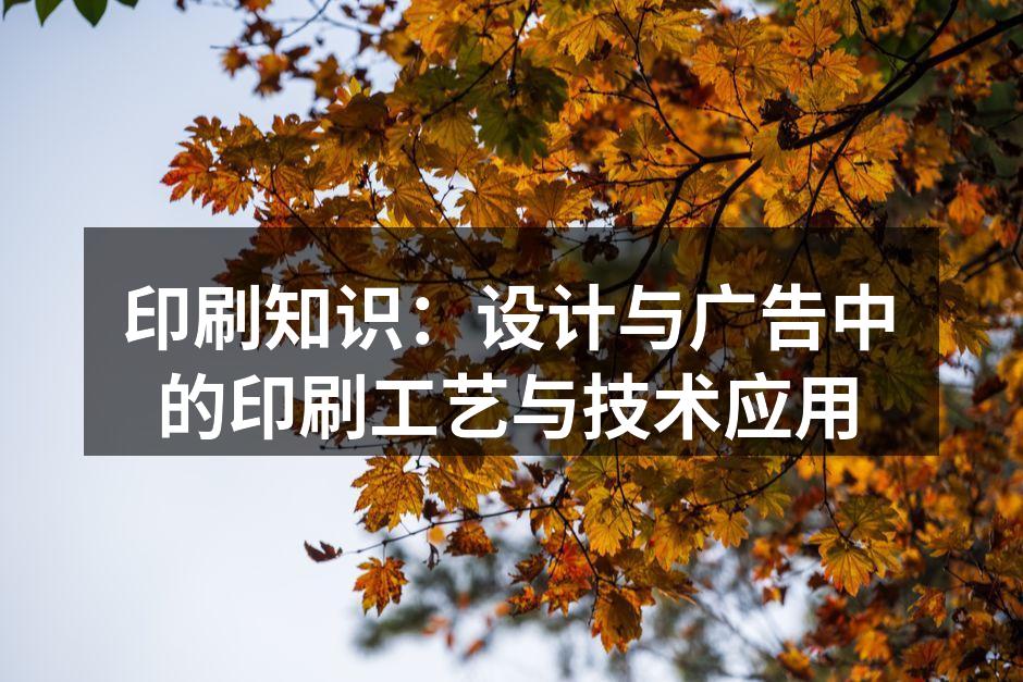 不同印刷工艺的示意图